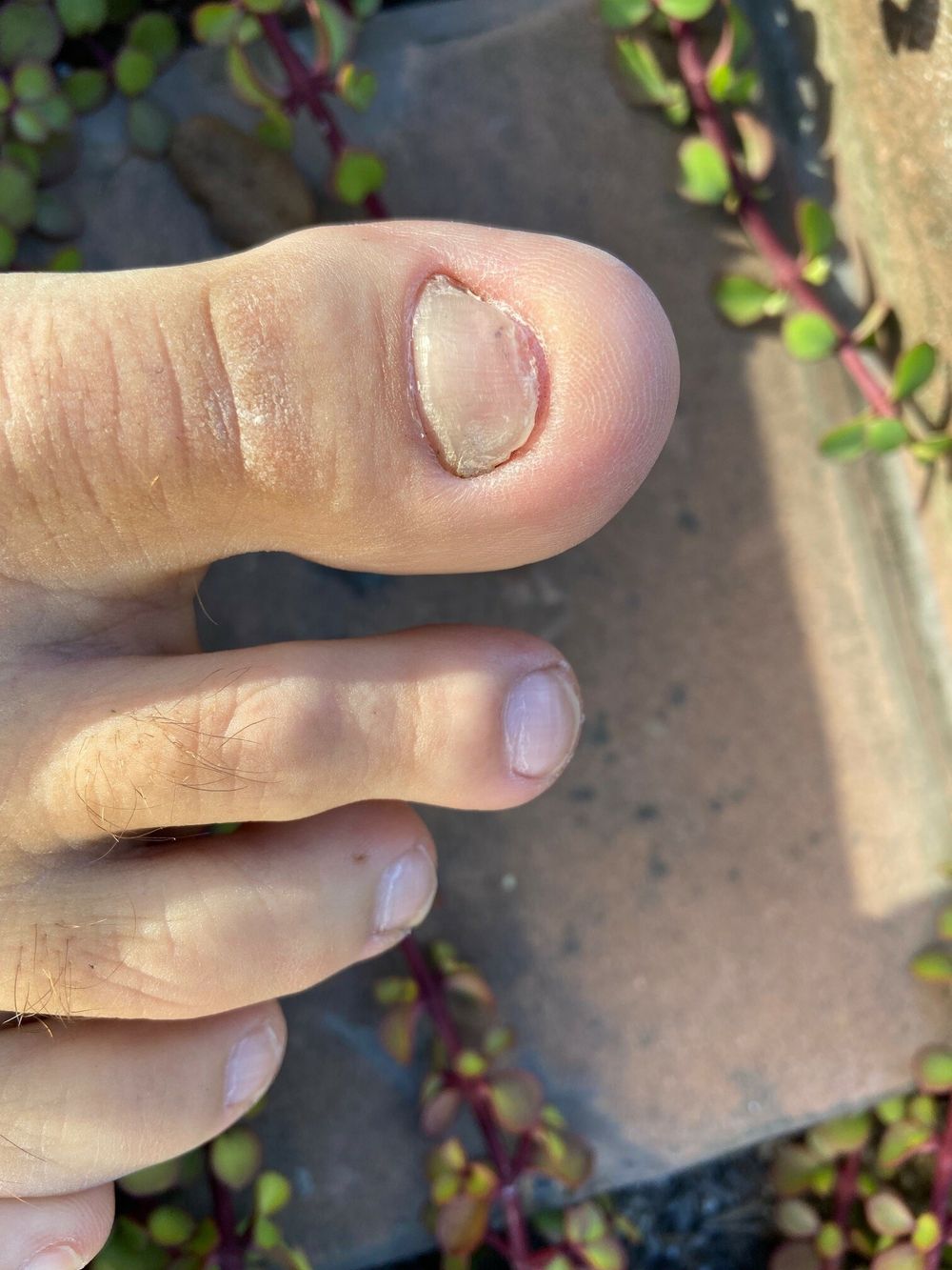 piratefunkytoe OnlyFans profile picture