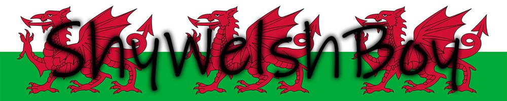 shywelshboy OnlyFans profile picture