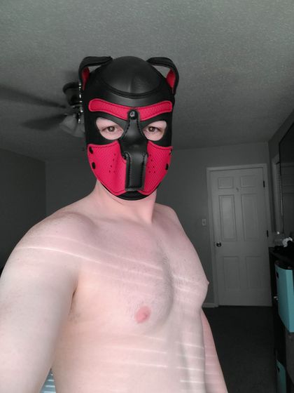 wrexthepup OnlyFans picture