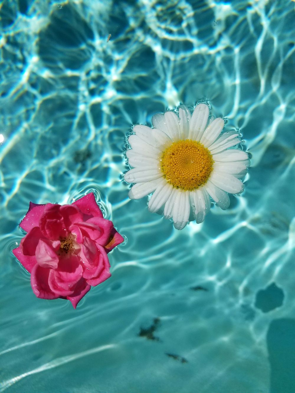 flowerpower333 OnlyFans profile picture