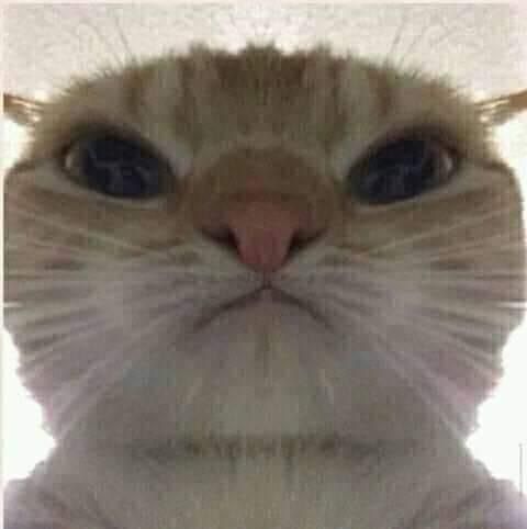 sandiagan OnlyFans profile picture