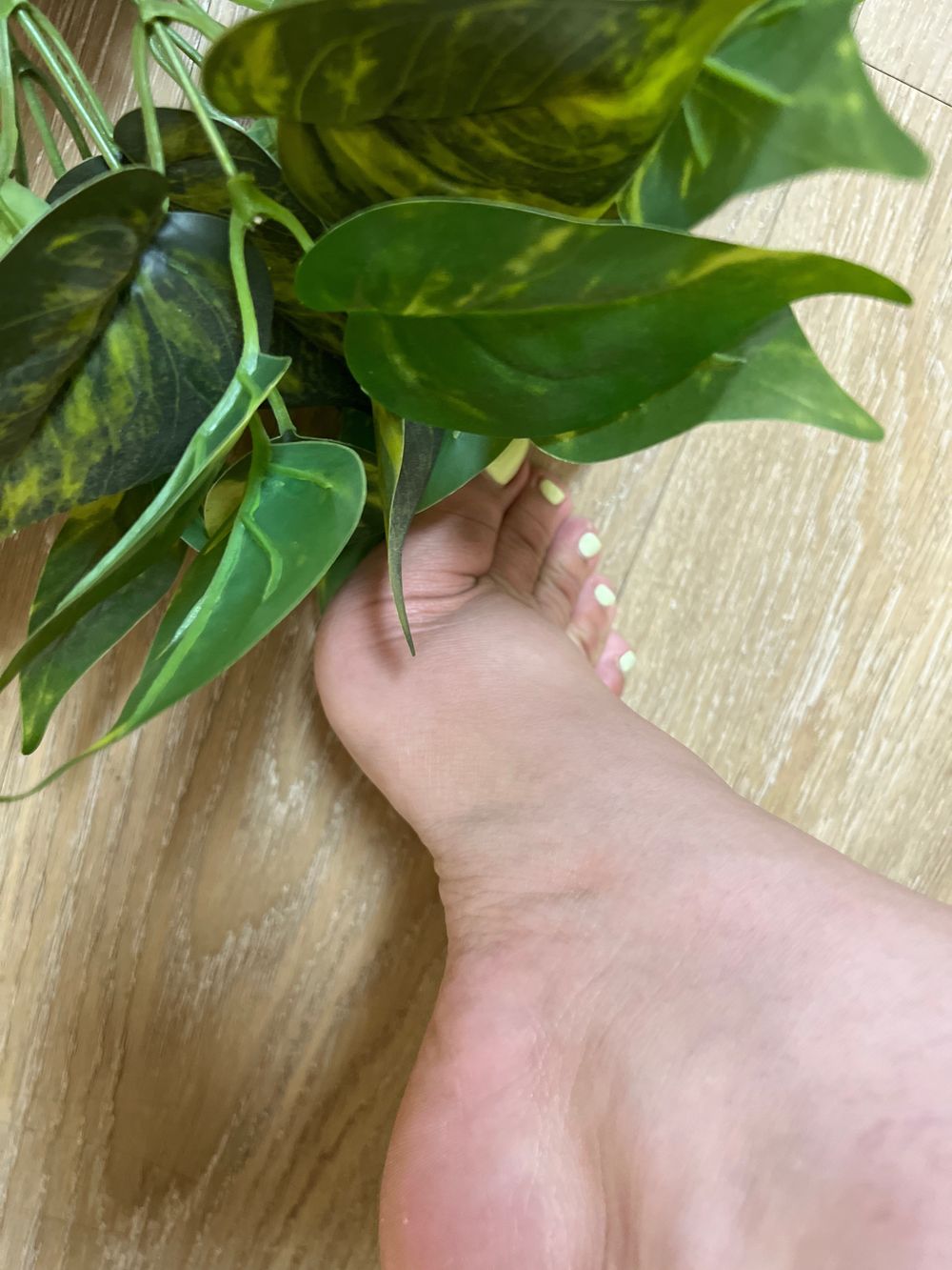 cocos.feet OnlyFans profile picture