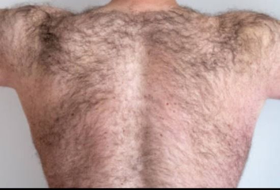 imthemanbear OnlyFans profile picture