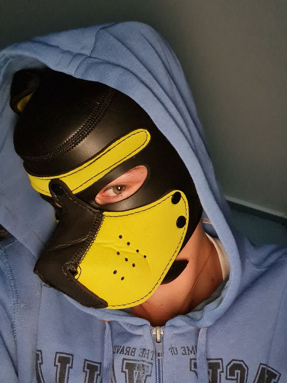 bigyellowpupper OnlyFans profile picture