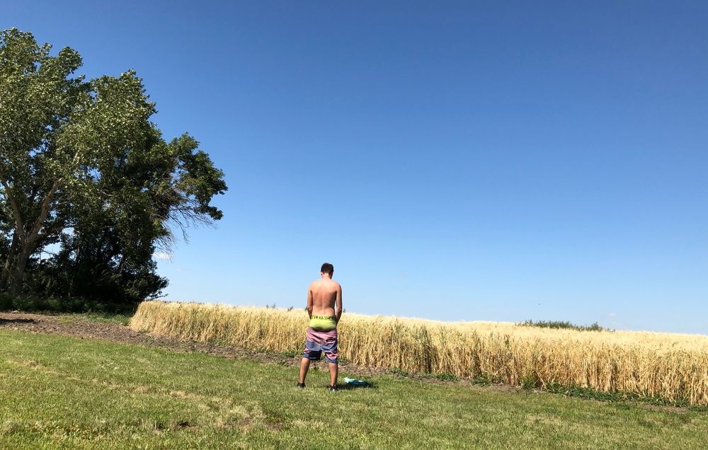 pflanzdaddy OnlyFans profile picture
