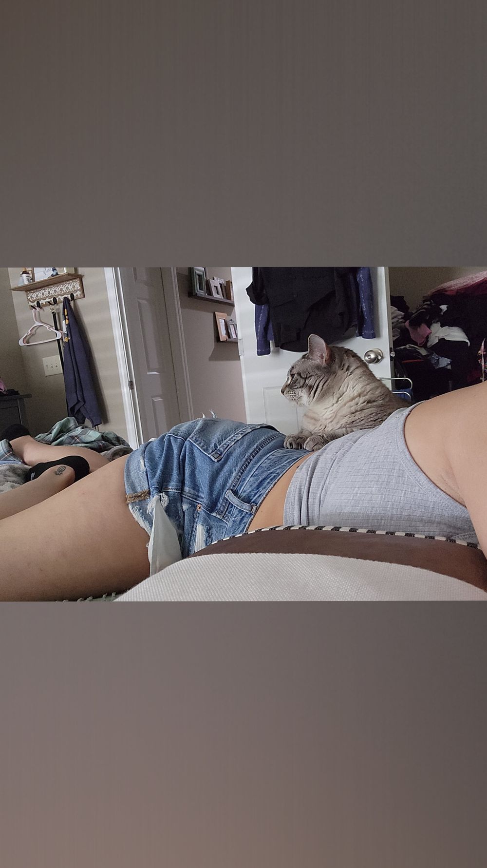 runningbunny30 OnlyFans profile picture
