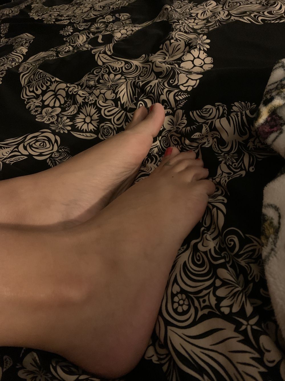 pattylabelle18 OnlyFans profile picture