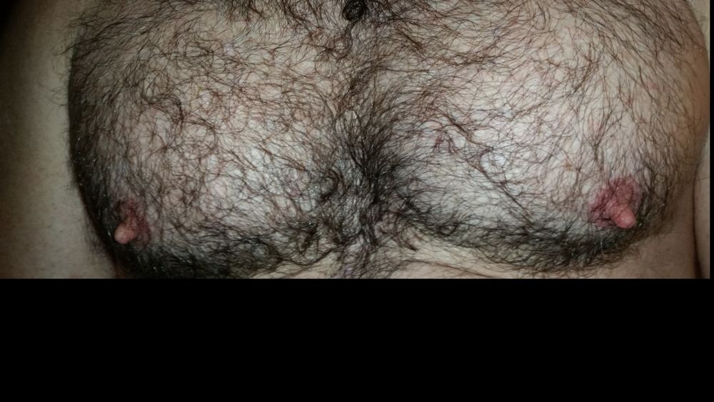 bbeardadswcub OnlyFans profile picture