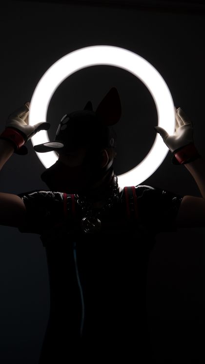 pup.bolt OnlyFans picture