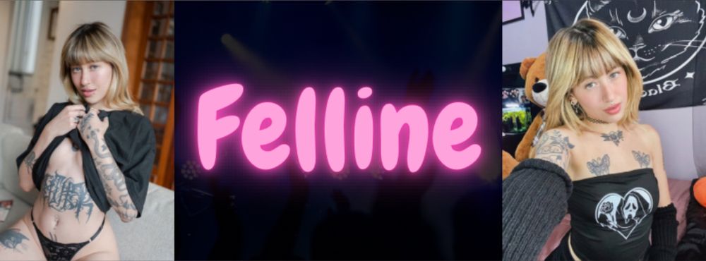 felline OnlyFans profile picture