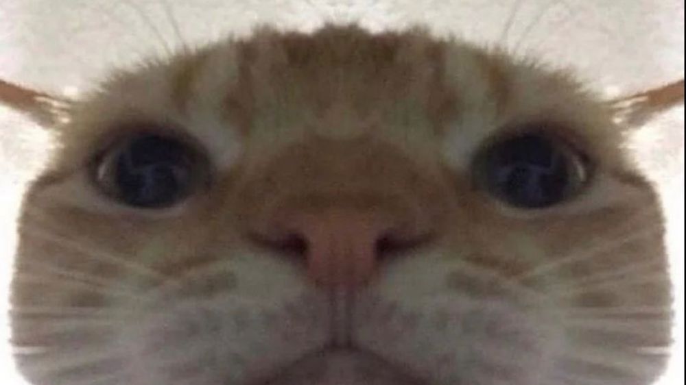 sssmalltea OnlyFans profile picture