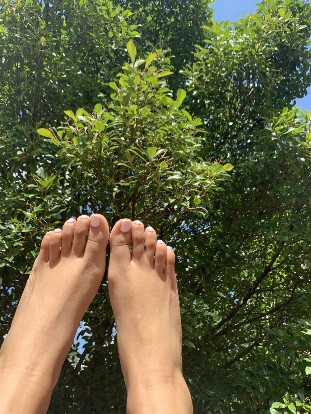 taytoes OnlyFans profile picture