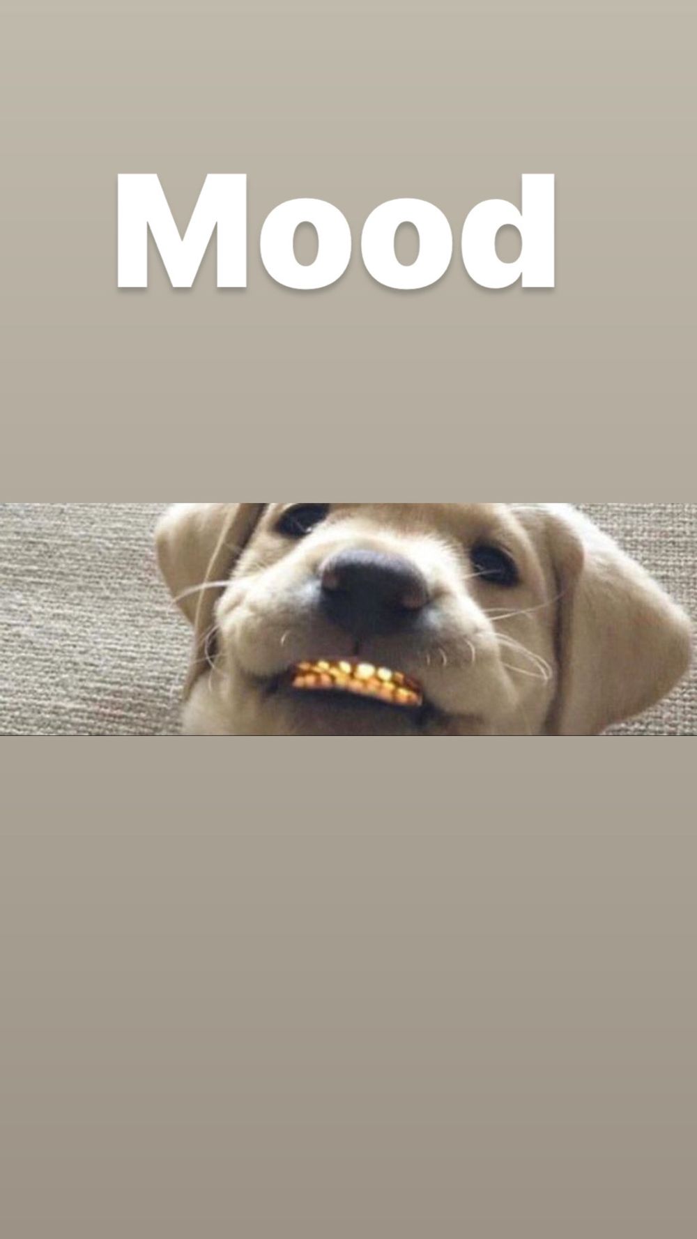 xmyworldout OnlyFans profile picture