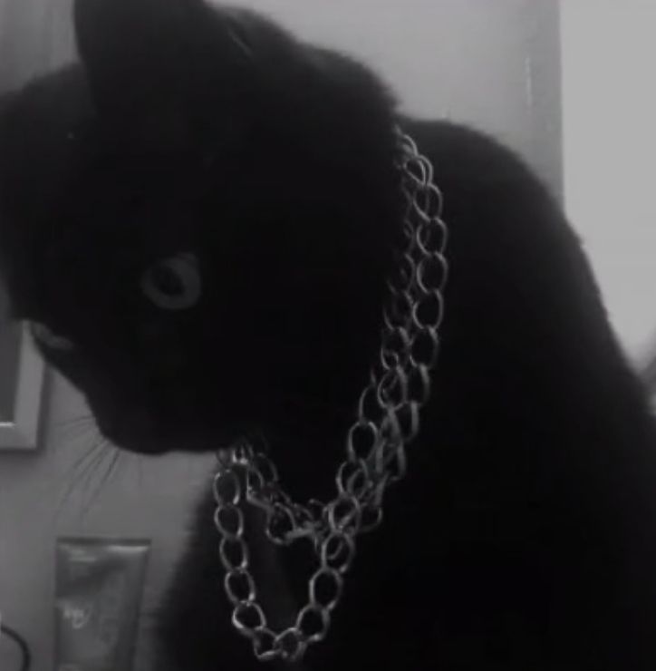 niggxkrippy OnlyFans profile picture