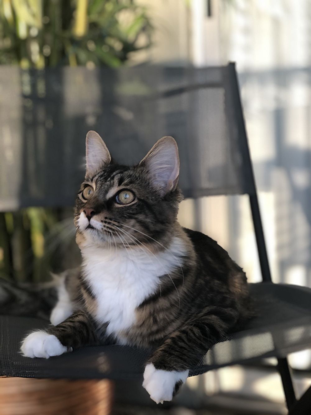 marissasws OnlyFans profile picture