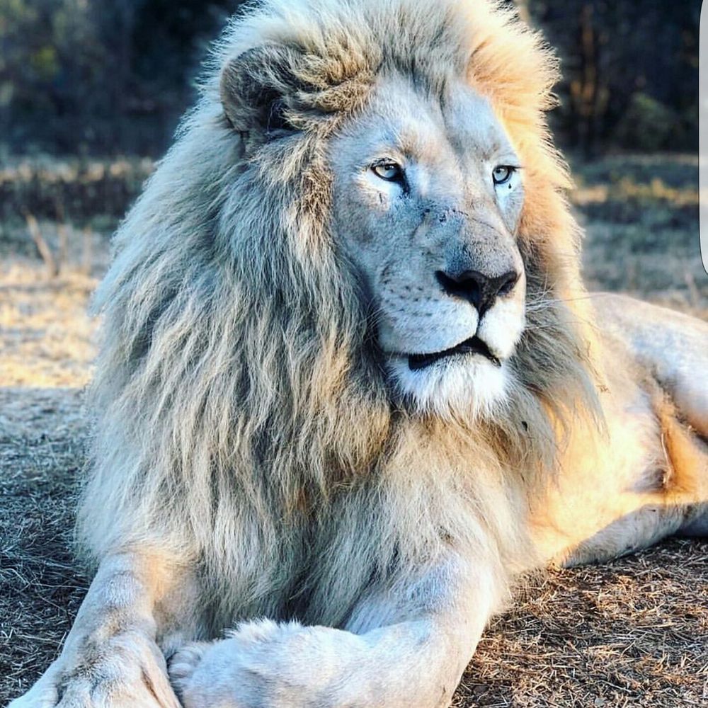 papichulo9022 OnlyFans profile picture