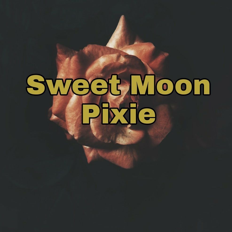 sweetmoonpixie OnlyFans profile picture