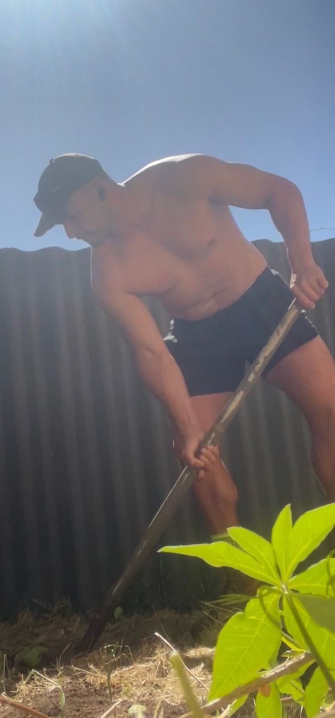 perrytheplata OnlyFans profile picture