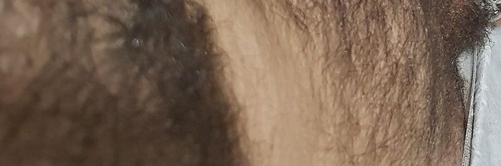 lockedspain OnlyFans profile picture