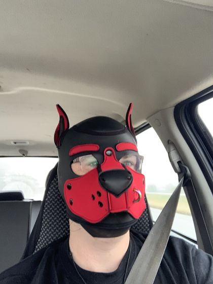 puparcanis OnlyFans picture