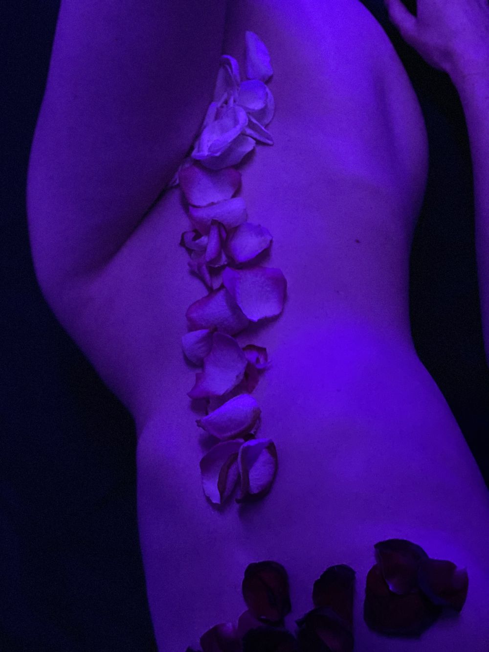 thicittlered OnlyFans profile picture