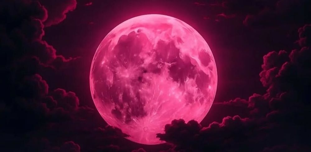 pinkmoonlight2026 OnlyFans profile picture