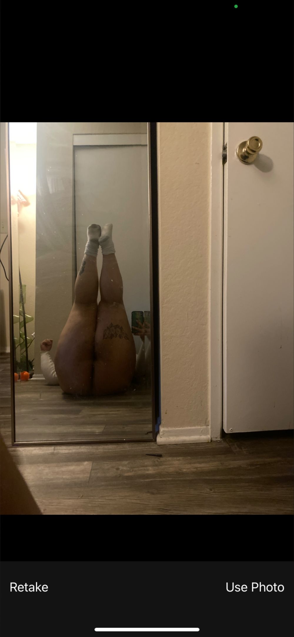 therealchubbybunny OnlyFans profile picture