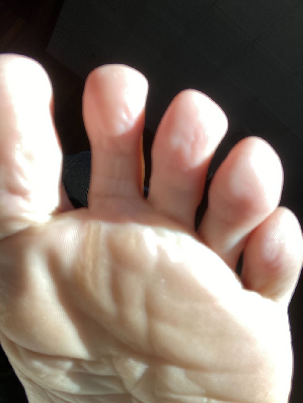 fabulousfloridafeet OnlyFans profile picture