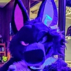 purplehuskymurr OnlyFans picture