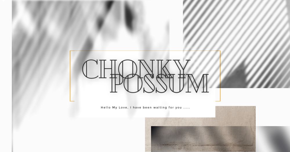 chonkypossum OnlyFans profile picture
