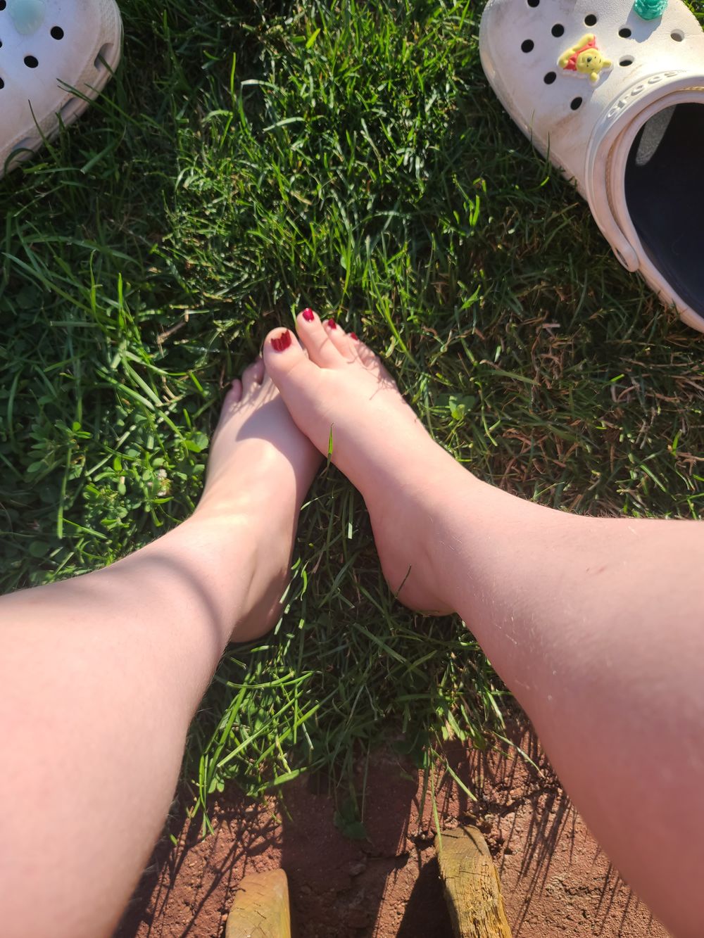 lilkitten16 OnlyFans profile picture
