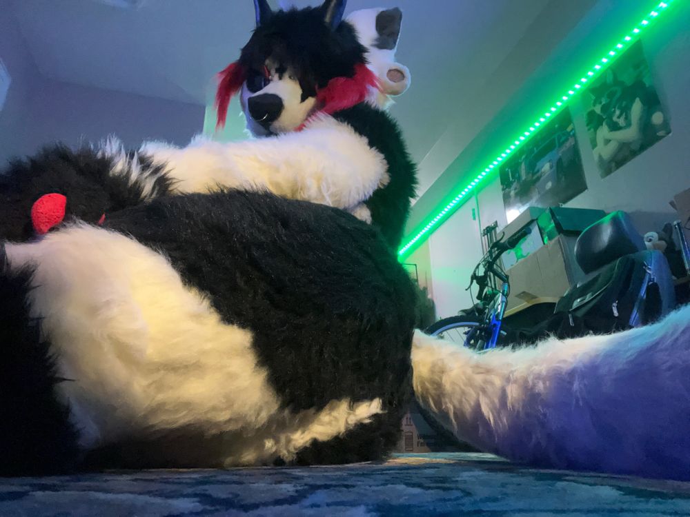 toxicpuppy22 OnlyFans profile picture