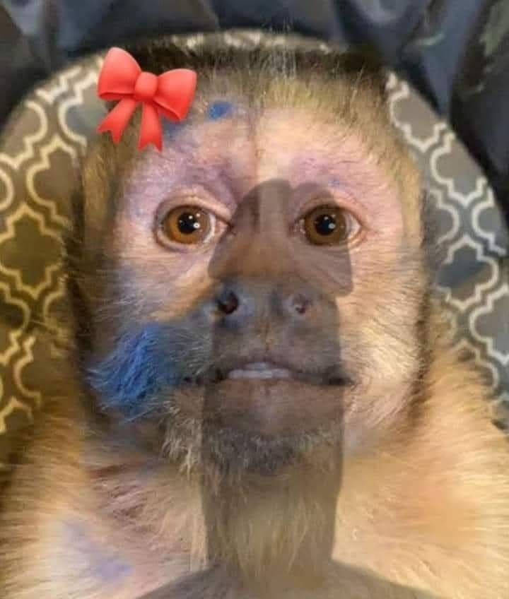 sexybeastia OnlyFans profile picture