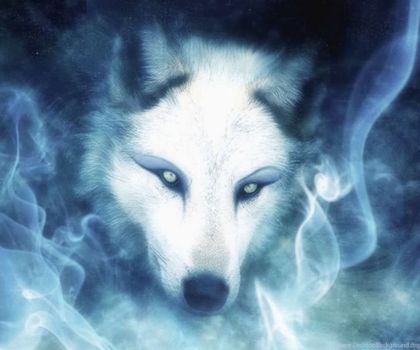 wolfpositivity OnlyFans picture