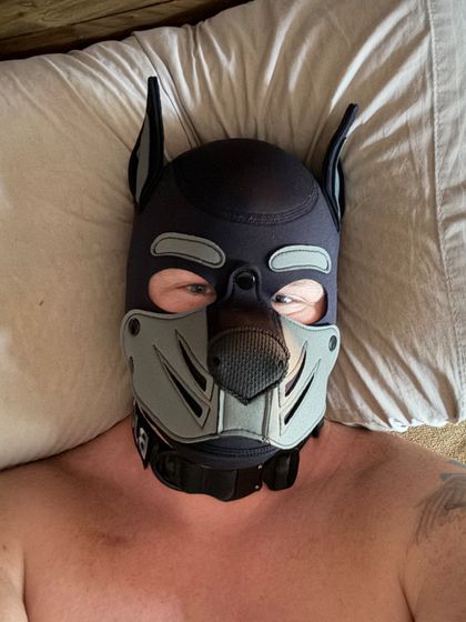 pupbjorn864 OnlyFans picture