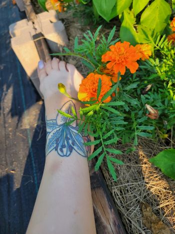 Carensbarefoot