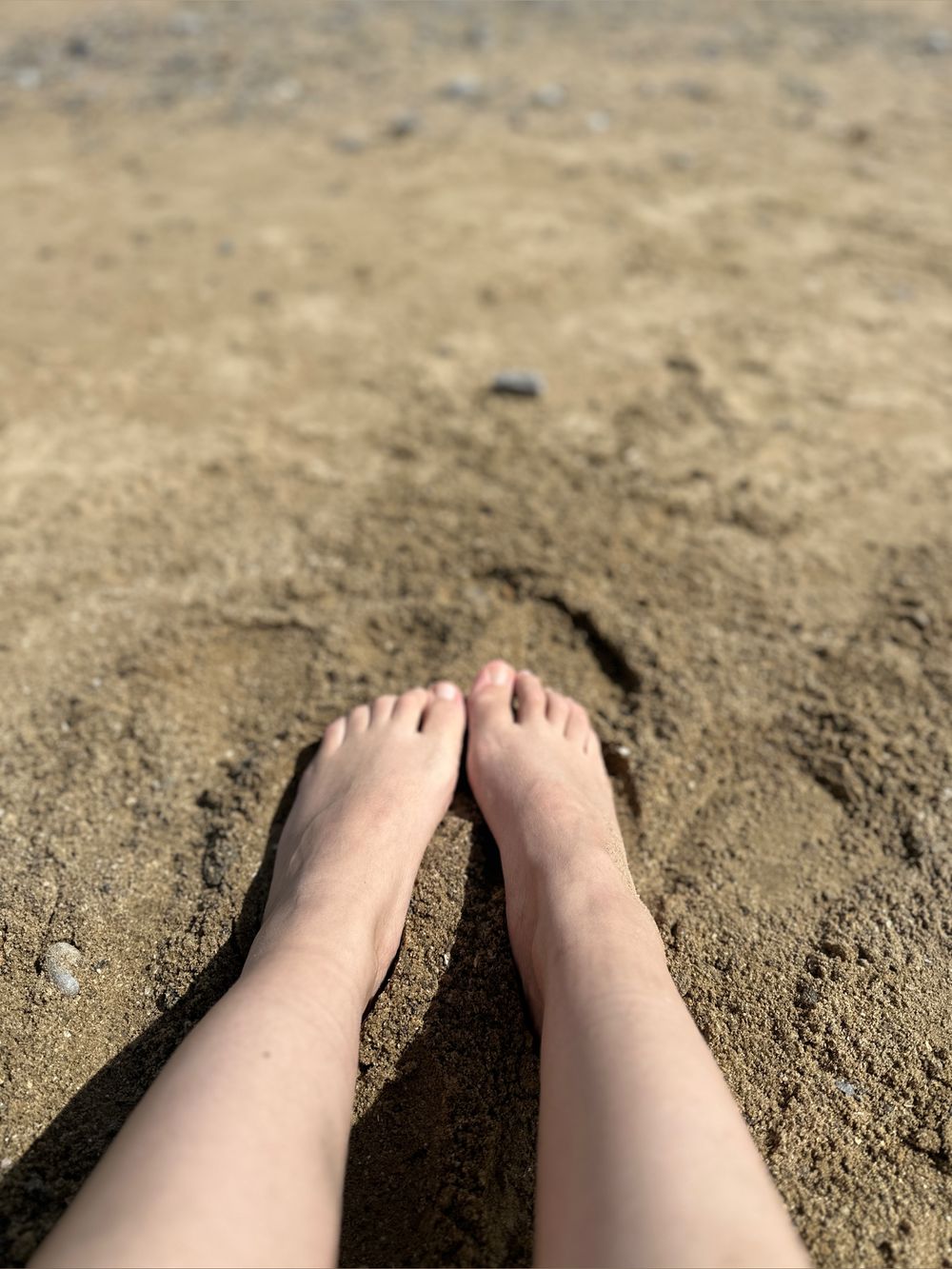 itsteaselouise OnlyFans profile picture