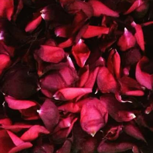 honeeylitz OnlyFans profile picture