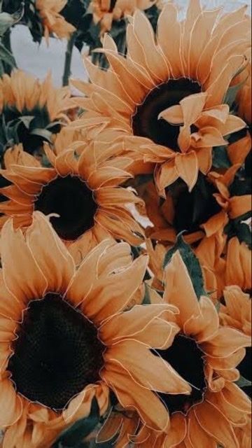 u161857341 OnlyFans profile picture