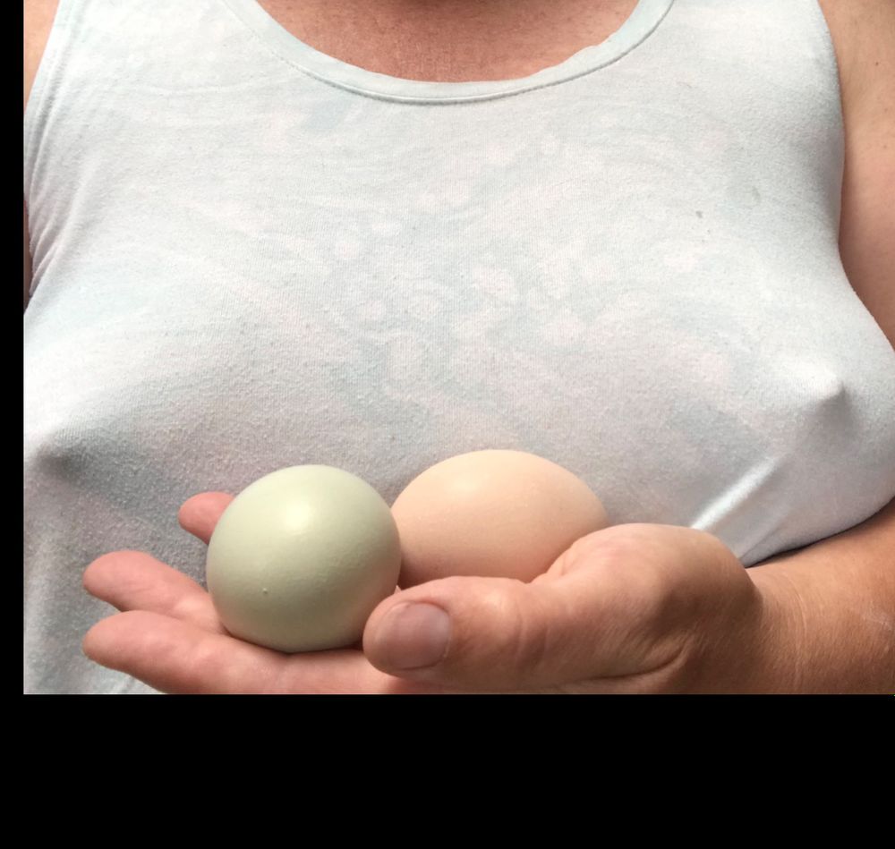 farmfunxo OnlyFans profile picture