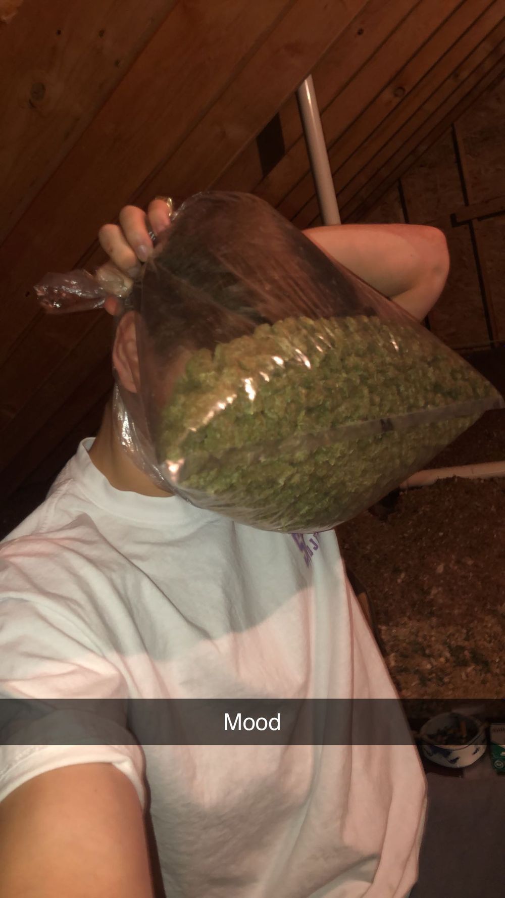dameat OnlyFans profile picture