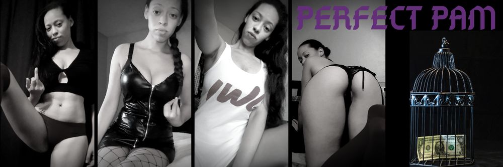 perfectpam OnlyFans profile picture