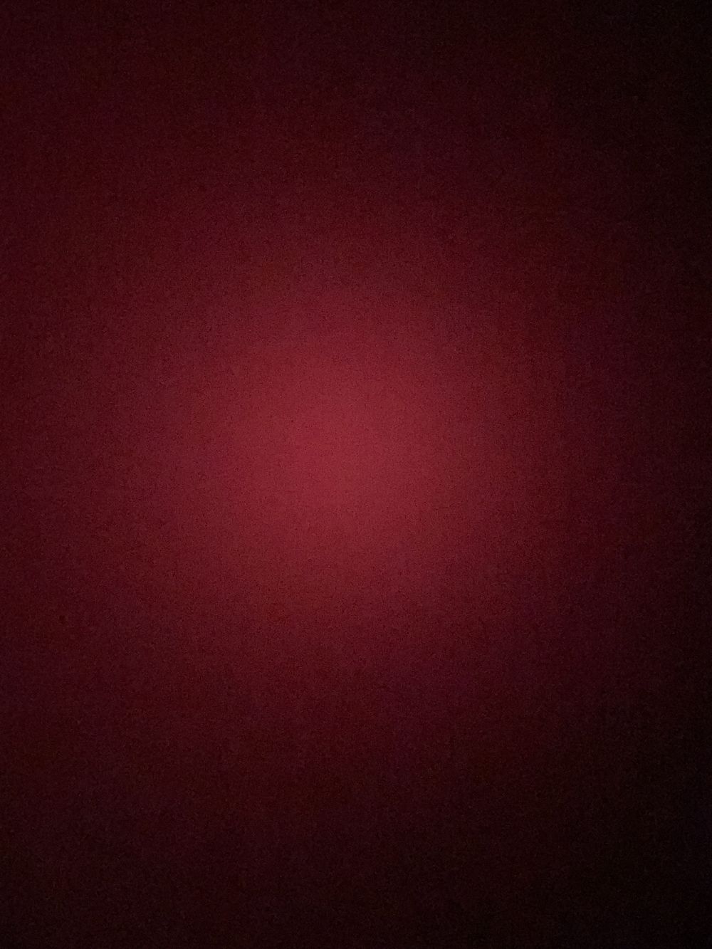 sqirtalert OnlyFans profile picture