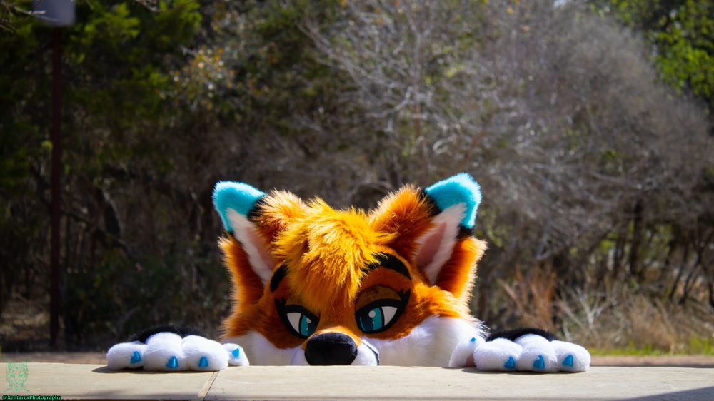 autumnfoxad OnlyFans profile picture