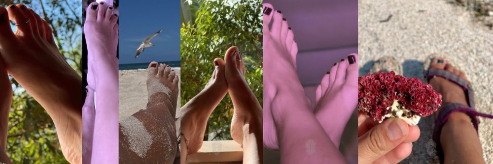 petitedancersoles OnlyFans profile picture