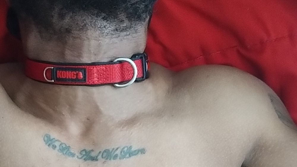 blusonai0 OnlyFans profile picture