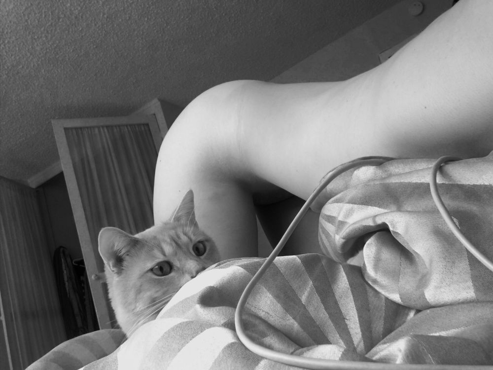 hannahleigh OnlyFans profile picture