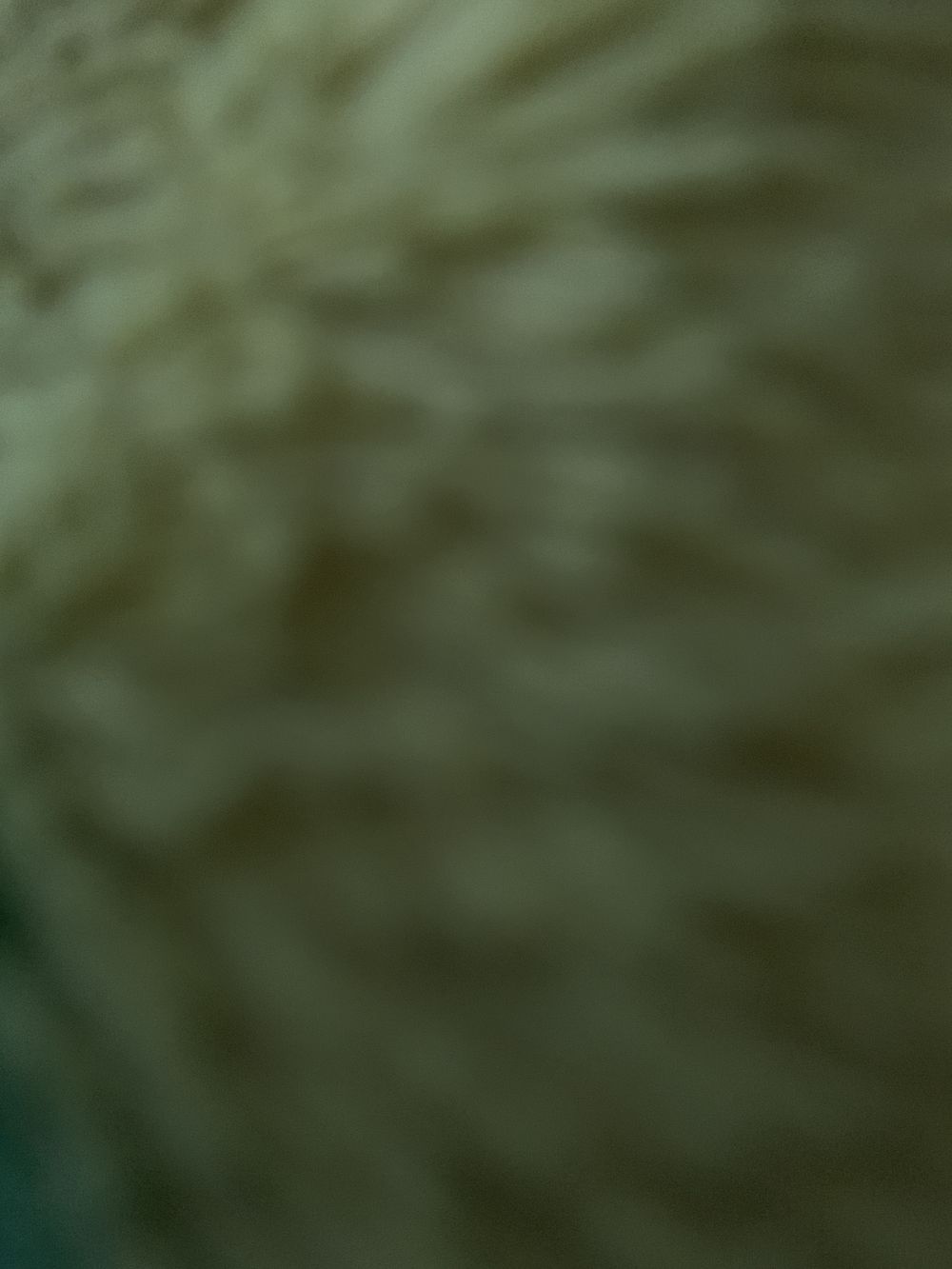 bearsfullofsex OnlyFans profile picture