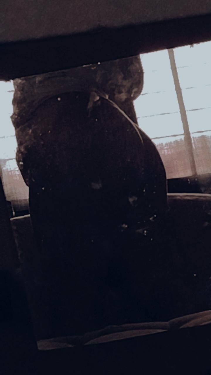 camileprzysbeczyski OnlyFans profile picture