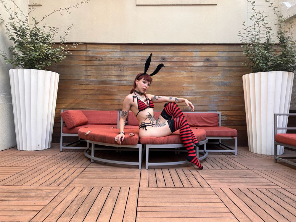 lilithbunnyx OnlyFans profile picture